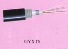 GYXTS����